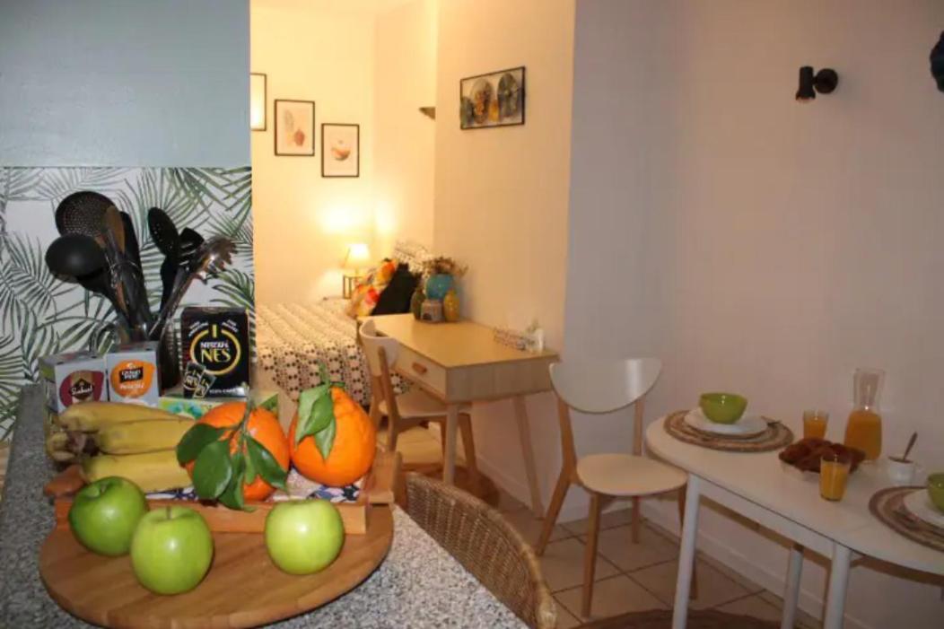 Apartmán The Garden, Proche Bord De Loire Orléans Exteriér fotografie